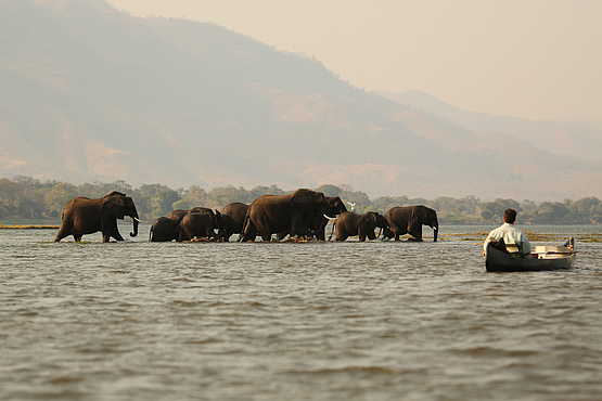 Ruwesi Canoe Trail: Auf dem Fluss