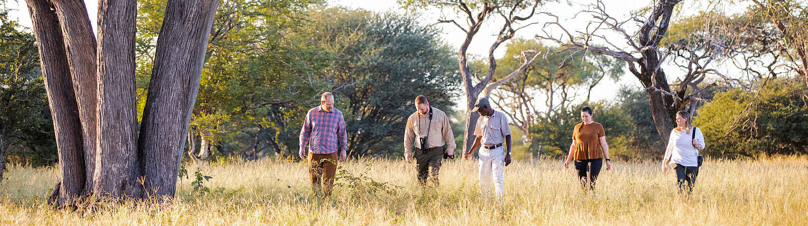 Thamo Telele: Walking Safari Thamo Telele: Walking Safari