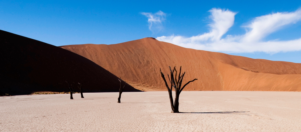Dünen, Hardap, Kulala Desert Lodge, Sesriem, Sossusvlei, Trockenfluss, Tsauchab, Big daddy, Dead vlei, Kulala Wilderness Reserve, Namib-Wüste