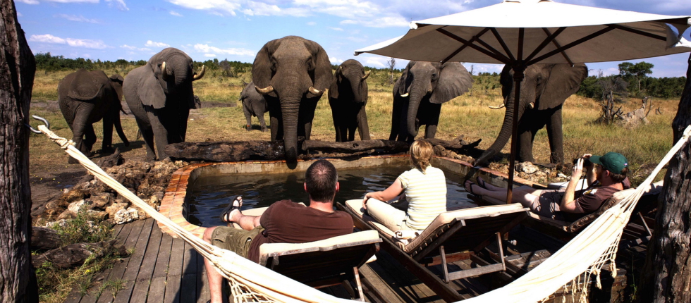 African Bush Camps, Beks Ndlovu, Elefanten, Hwange National Park, Pool, Somalisa, Somalisa Camp