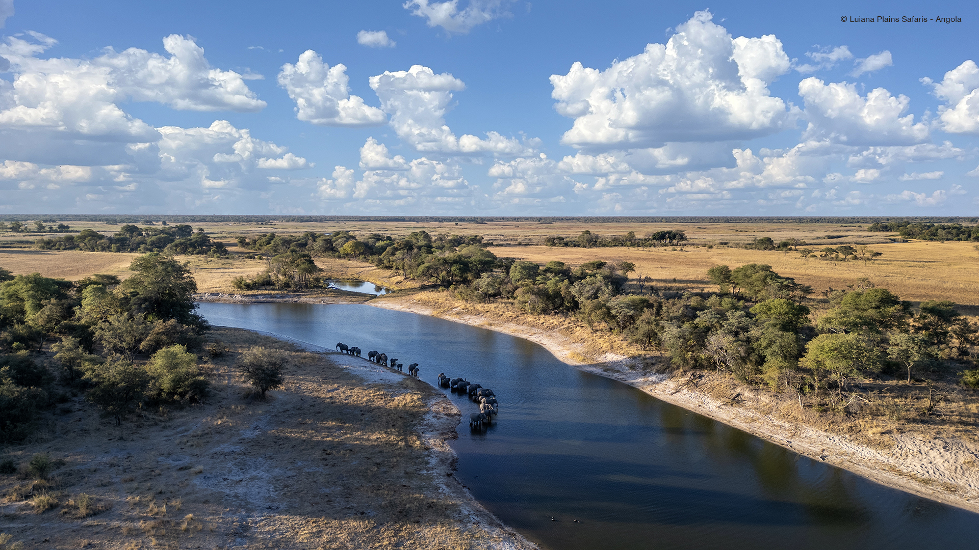 Luiana Plains Expedition Camp: Elefanten am Fluß