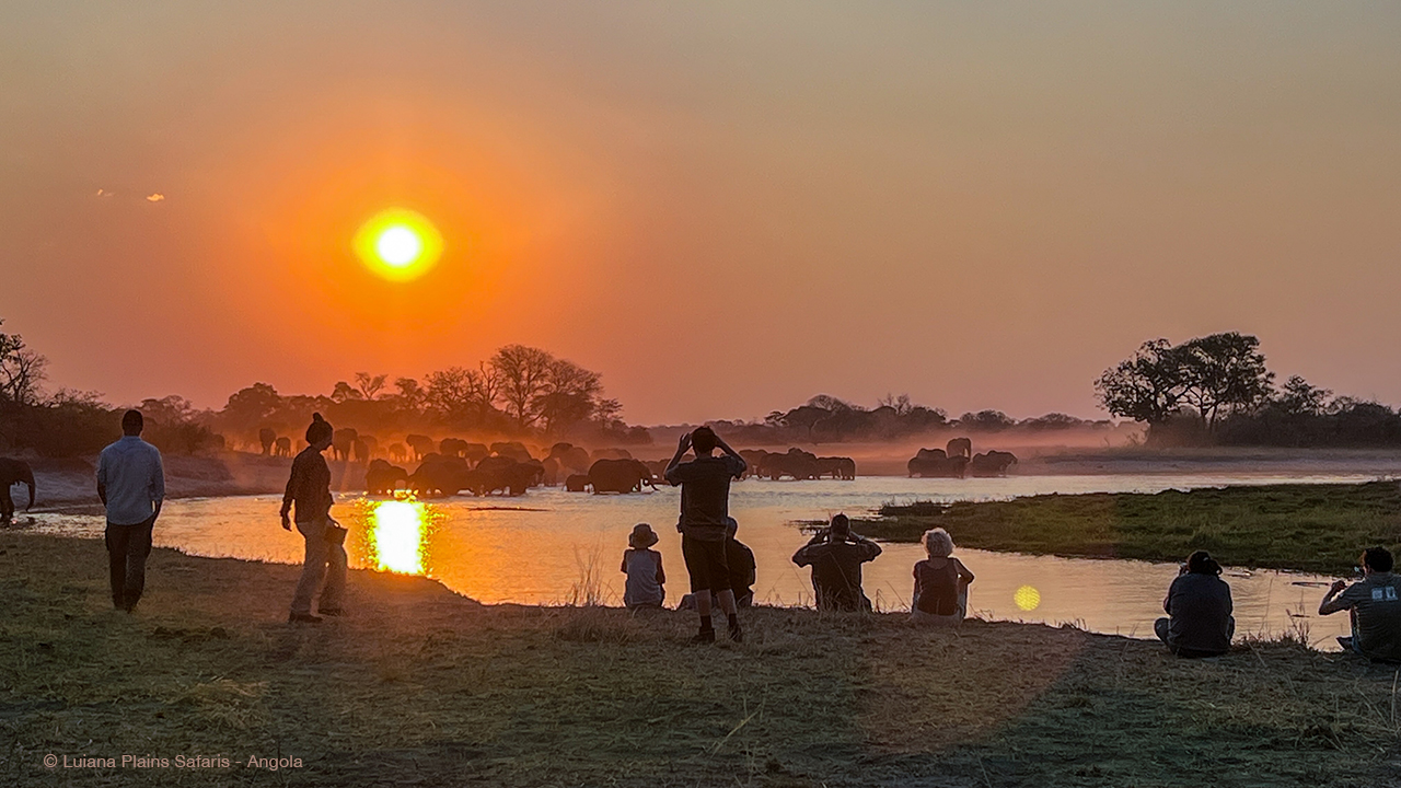 Luiana Plains Expedition Camp: Elefantenbeobachtung bei Sonnenuntergang Luiana Plains Expedition Camp: Elefantenbeobachtung bei Sonnenuntergang