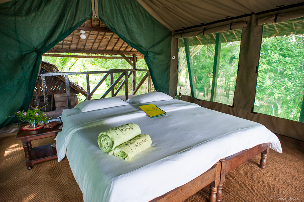 Madagascar, Masoala, Masoala Forest Lodge, chambre, hotel, rainforest, Afrikarma, Afrikarma Safaris, Afrikarma Safaris - Wildnis. Hautnah., Afrikarma.de, Maria Bester, Masoala National Park, Pierre Bester, Bett, Handtücher, Kissen, Nachttisch, Pflanzen, Zelt