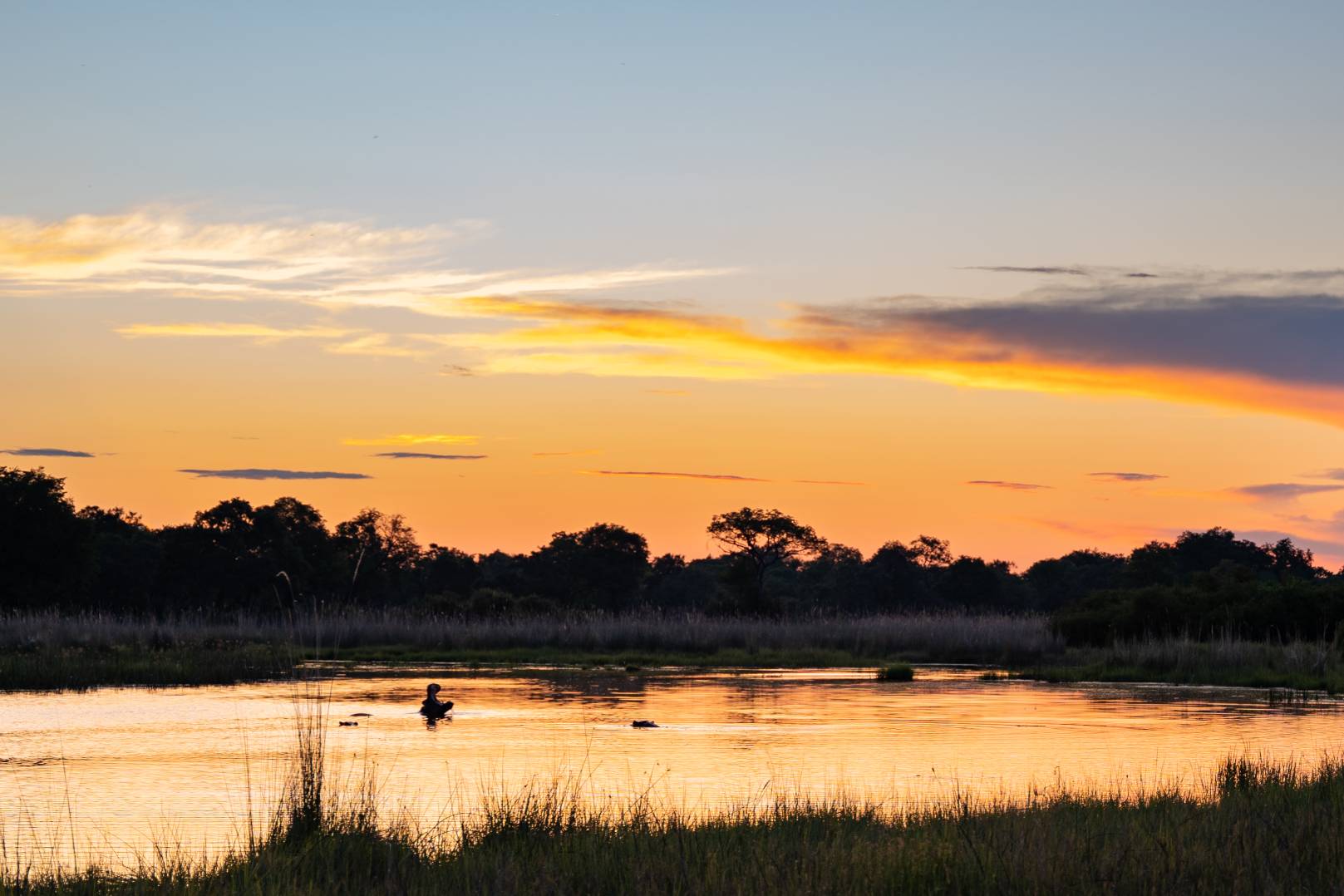 4 Rivers Camp: Nilpferde