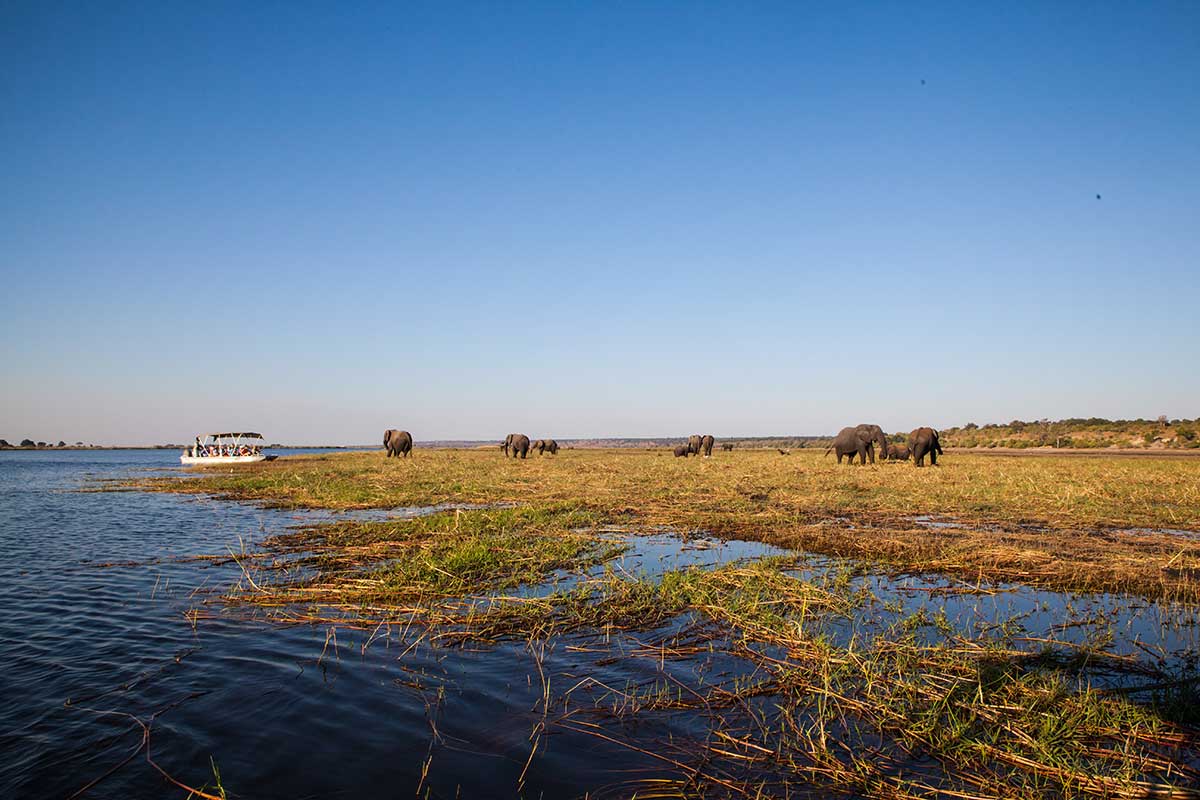 Camp Kuzuma, Hideaways, Kazuma Forest Reserve, Bootsexkursion, Chobe National Park, Chobe River, Flood Plains, Game Drive, Landschaft, Motorboot, Tiere, Afrikarma, Afrikarma Safaris, Afrikarma Safaris - Wildnis. Hautnah., Afrikarma.de