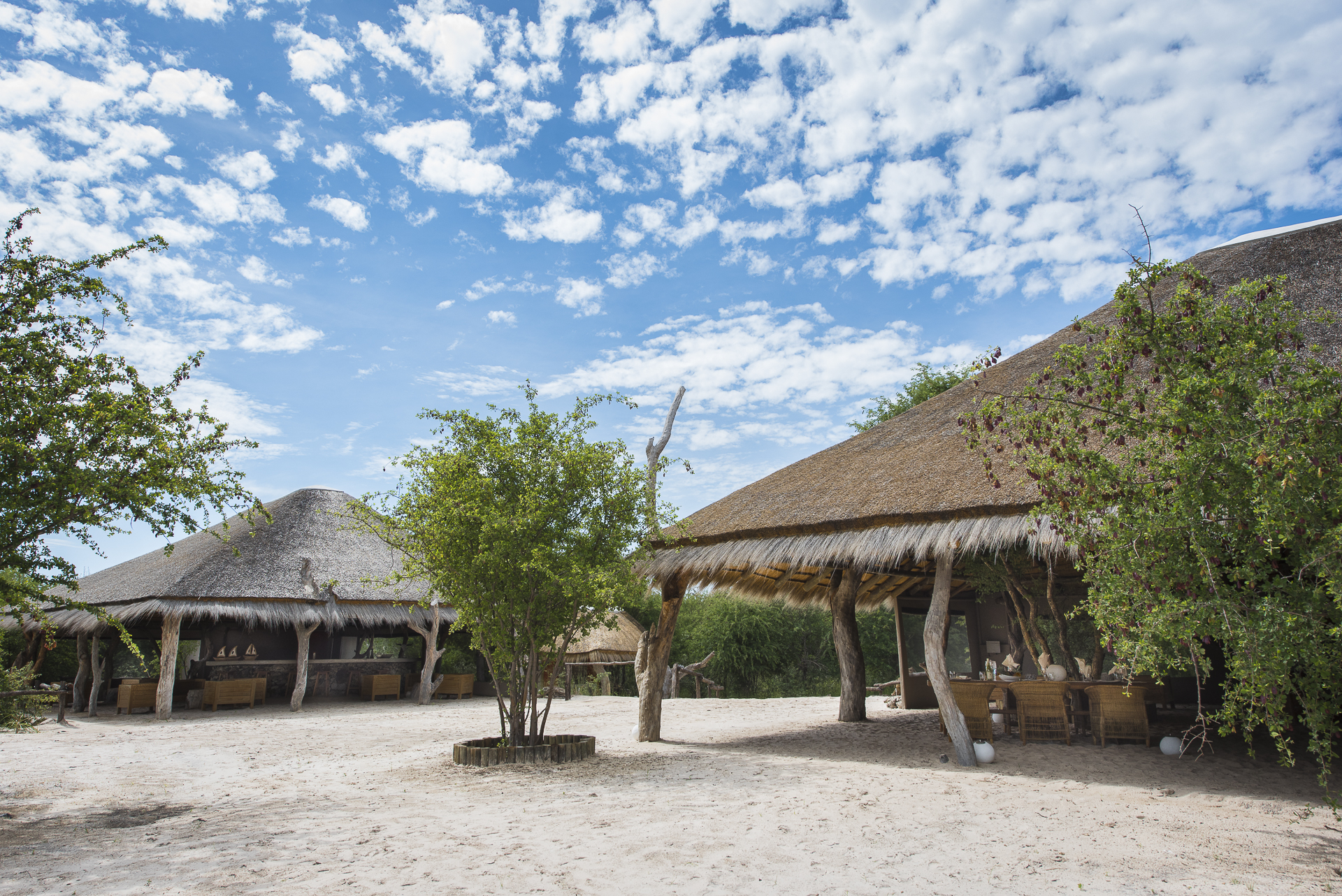Baines Baobab, Boteti River, Bushveld, Leopard Plains, Makgadikgadi National Park, Nxai Pan National Park, Hauptgebäude, Loungezelt, Speisezelt, Afrikarma, Afrikarma Safaris, Afrikarma Safaris. Wildnis. Hautnah., Afrikarma.de