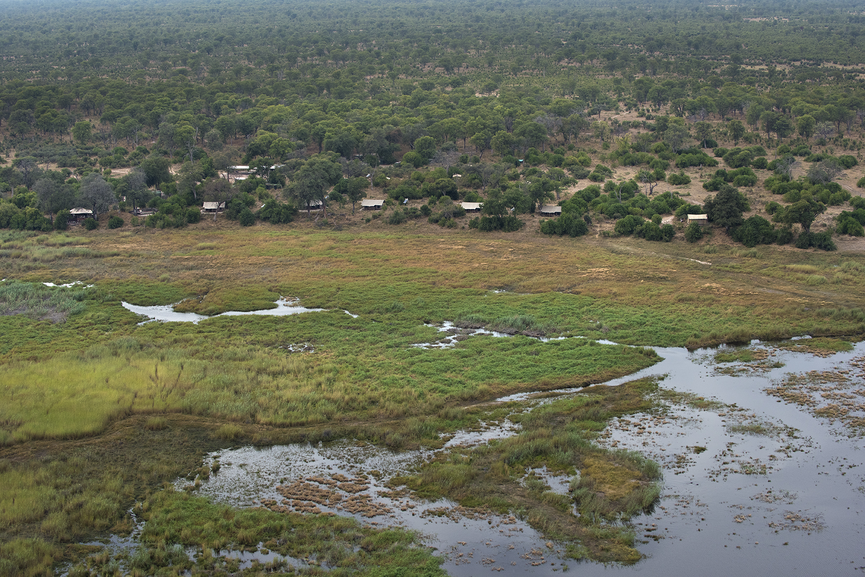 African Bush Camps, Beks Ndlovu, Linyanti Bush Camp, Linyanti Ebony, Gesamtansicht, Luftbild, Afrikarma, Afrikarma Safaris, Afrikarma Safaris. Wildnis. Hautnah., Afrikarma.de