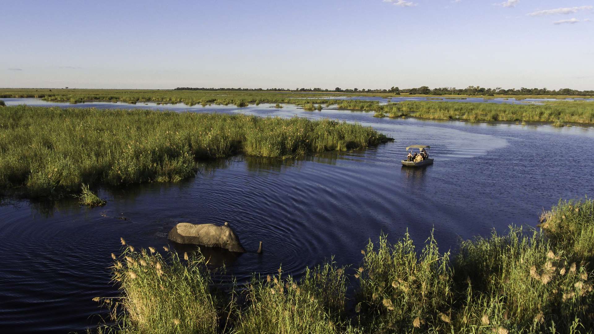 Linyanti Konzession, Little DumaTau, Wilderness Safaris, Zibadianja Lgoon, Ausflug, Linyanti River, Motorboot, Afrikarma, Afrikarma Safaris, Afrikarma Safaris. Wildnis. Hautnah., Afrikarma.de