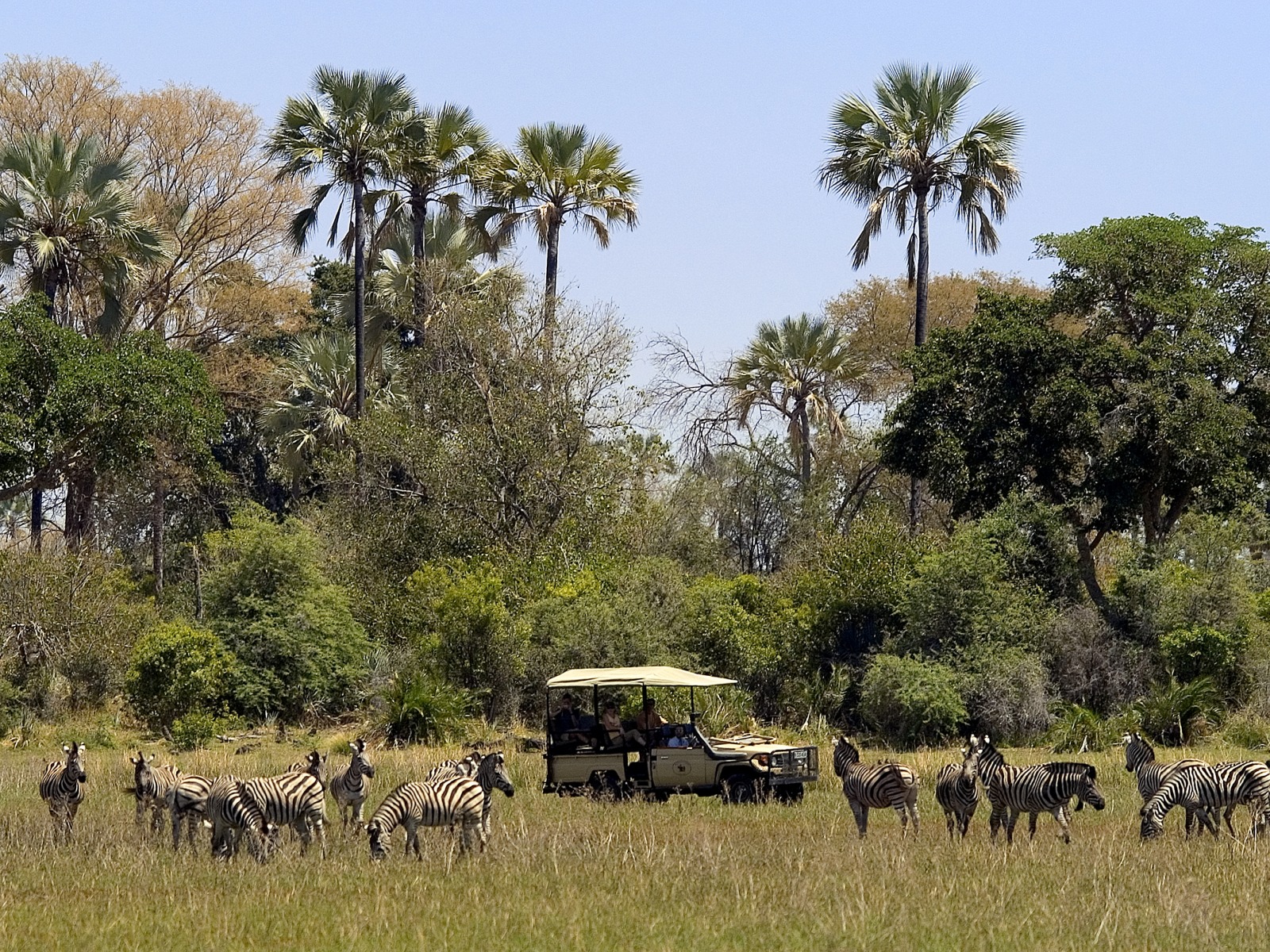 Abu Camp: Pirschfahrt