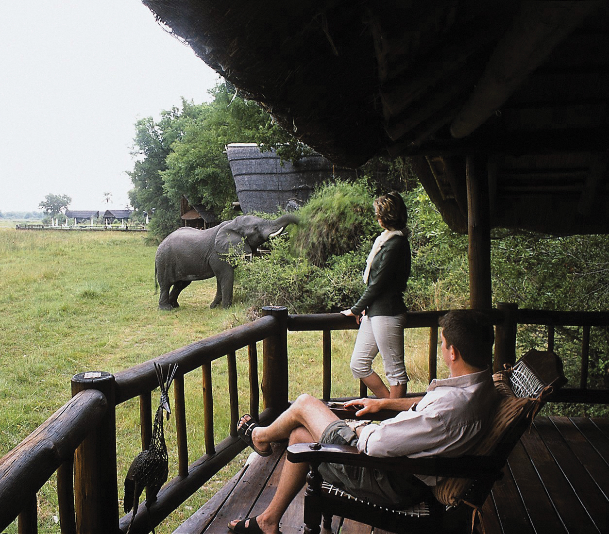 Belmond Savute Elephant Lodge: Elefantenbesuch