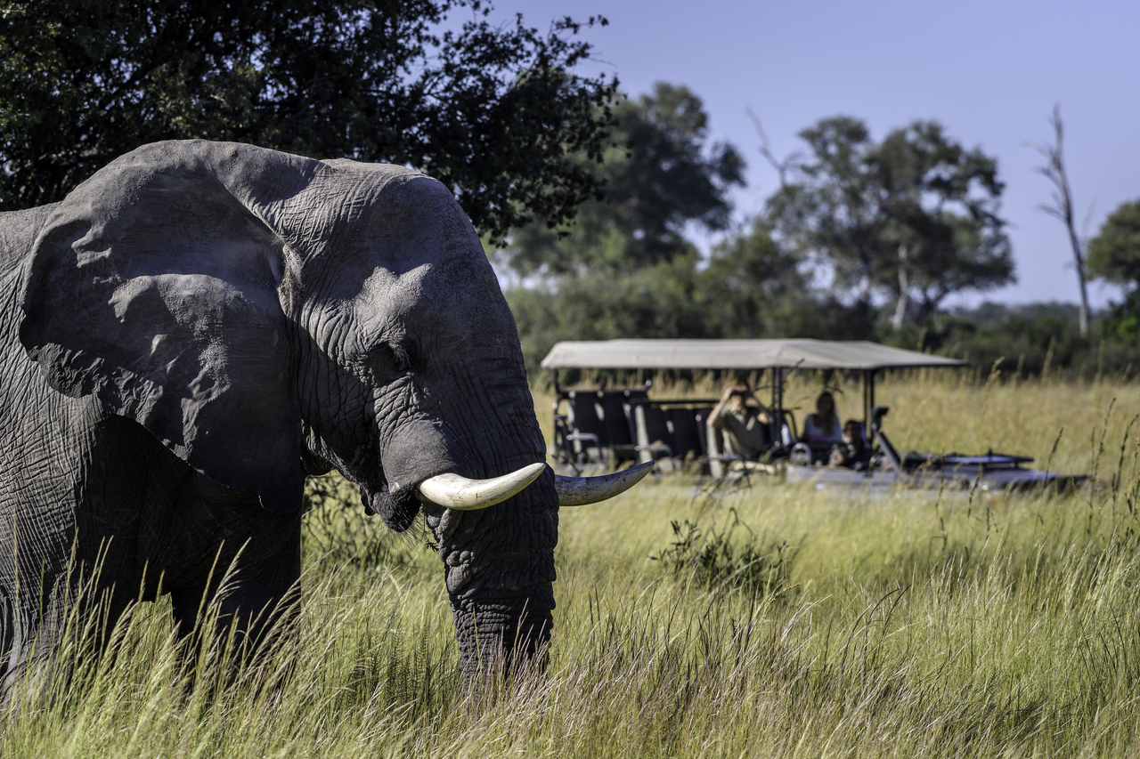 Duma Tau Camp: Pirschfahrt