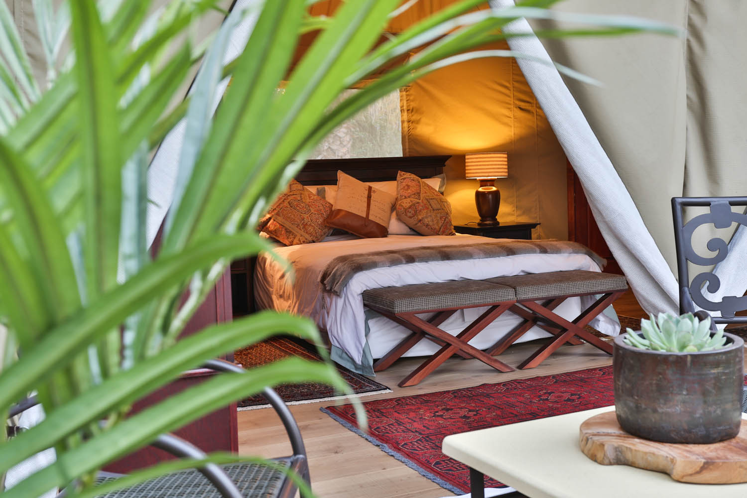 African Anthology, Kadizora Camp, Luxus Camp, Mapula Gudigwa, NG 12, Nördliches Delta, Doppelbett, Fenster, Gästezelt, Kofferablage, Nachttisch, Private Lounge, Teppiche, Pflanzen, Afrikarma, Afrikarma Safaris, Afrikarma Safaris - Wildnis. Hautnah., Afrikarma.de