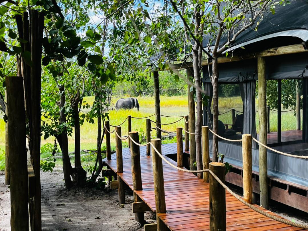 Khwai Expeditions Camp: Eingang zum Gästezelt