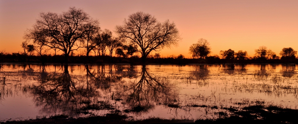 Khwai Community, Khwai River, Khwai Tented Camp, NG 19, Abendstimmung, Bäume, Kanal, Silhouette, Spiegelung, African Bushcamps, Beks Ndlovu