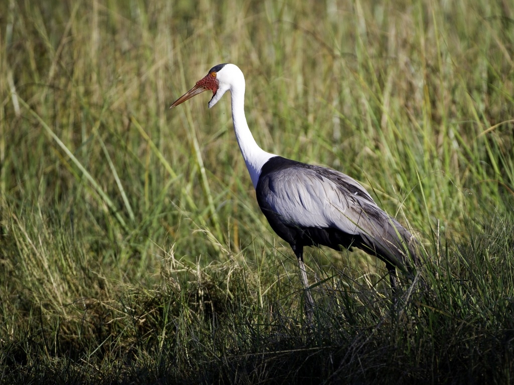 Kings Pool Camp: Klunkerkranich