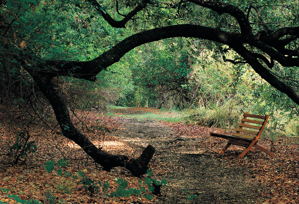 Chobe National Park, Chobe River, Kasane, Kubu Lodge, Garten, Nature Walk