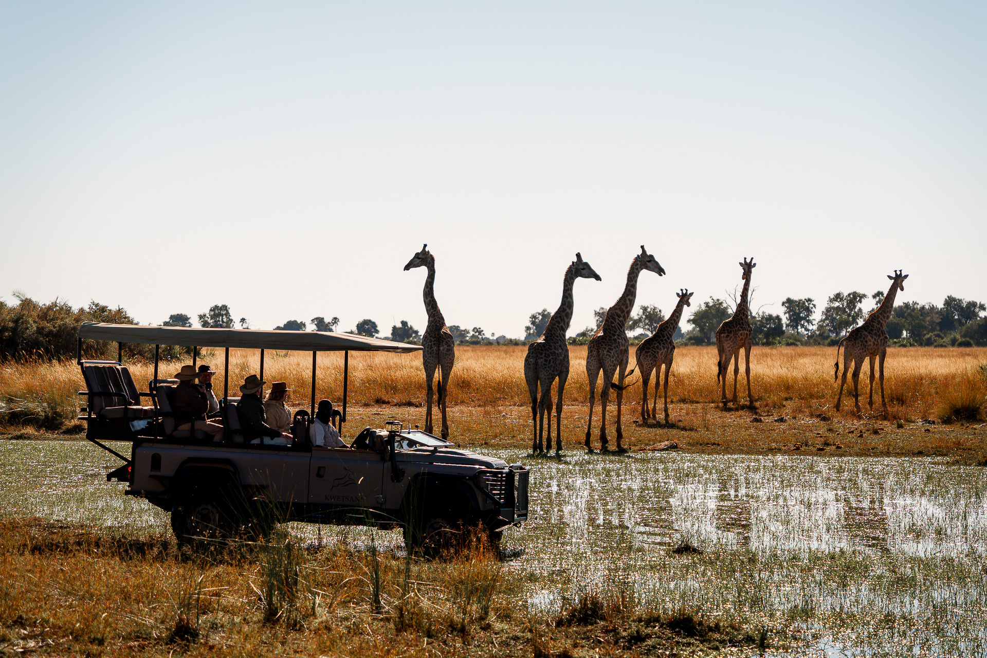 Kwetsani Camp: Giraffen beobachten auf Pirschfahrt