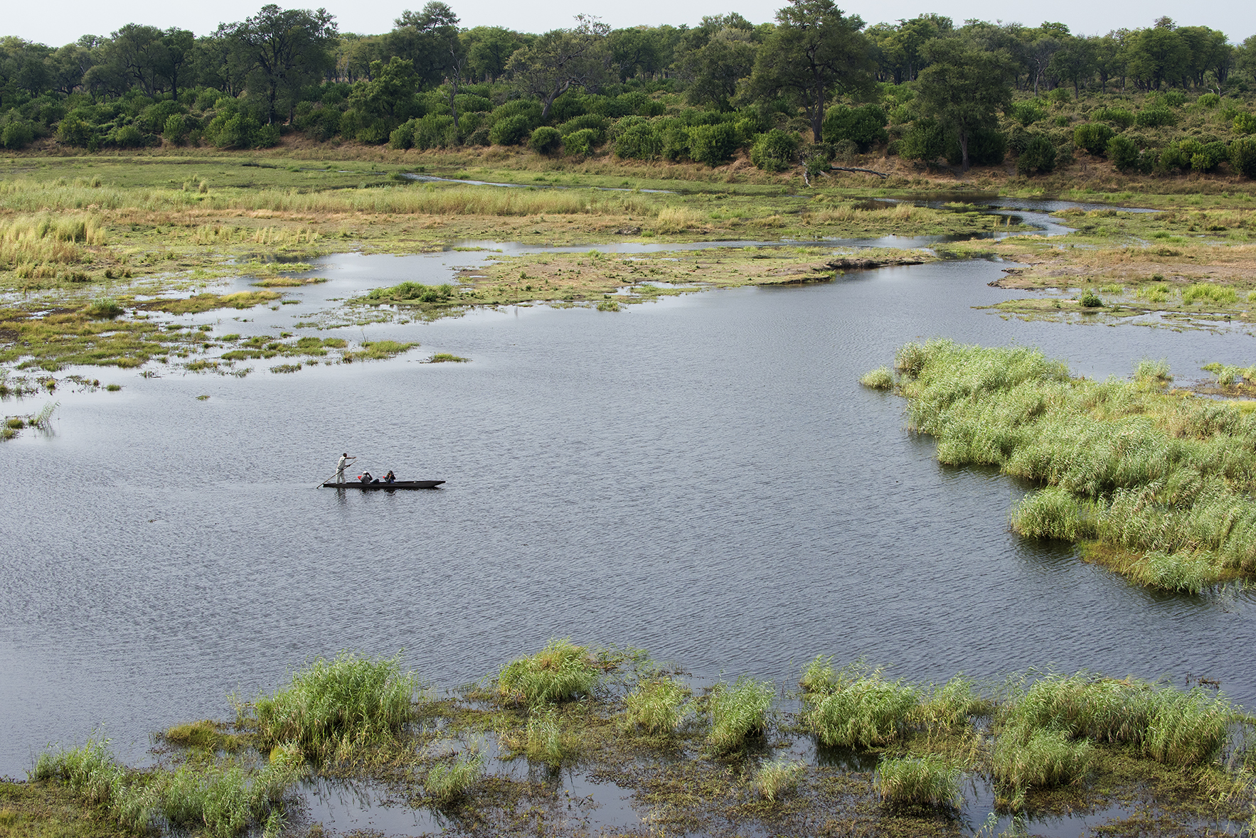 Afrikarma, Afrikarma Safaris, Afrikarma.de, Beks Ndlovu, Caprivi Streifen, Chobe Enclave, Linyanti Ebony, Linyanti Ebony Camp, Linyanti Sümpfe, Aktivitäten, Landschaft, Mokoro, Afrikarma Safaris. Wildnis. Hautnah.