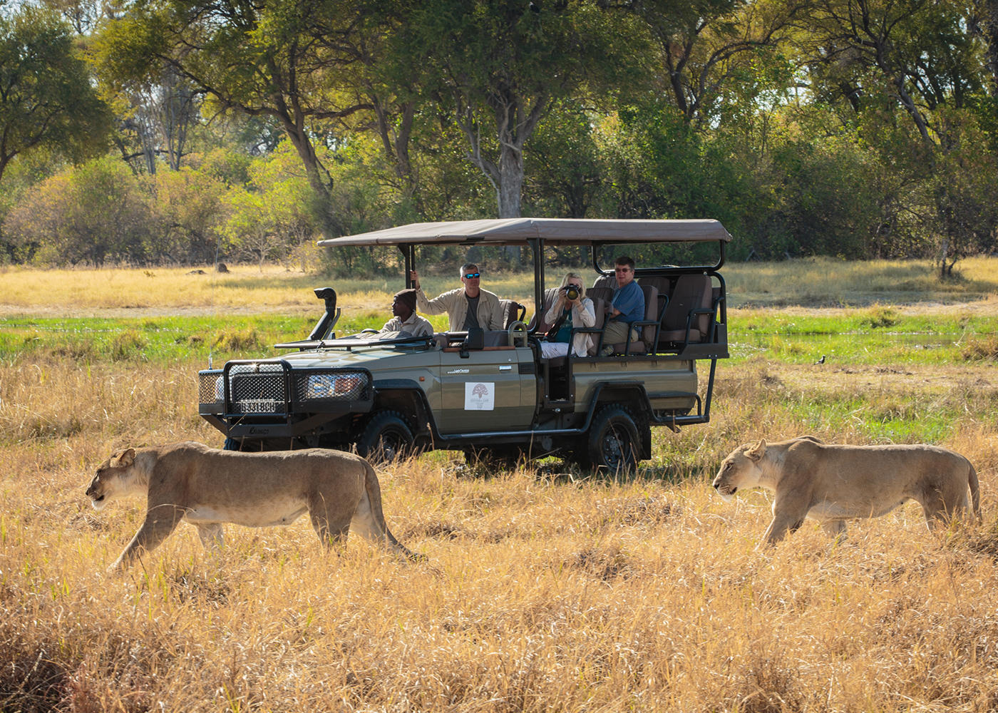 Little Machaba Camp: Game Drive