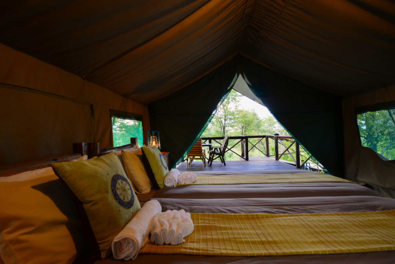 Big 5, Botswana, Chobe Nationalpark, Mankwe Bush Lodge, Moremi Game Reserve, Okavangodelta, Doppelbett, Gästeunterkuft, Gästezelt, Großer Eingang, Private Terrasse, Private Veranda, Afrikarma, Afrikarma Safaris, Afrikarma Safaris – Wildnis. Hautnah., afrikarma.de