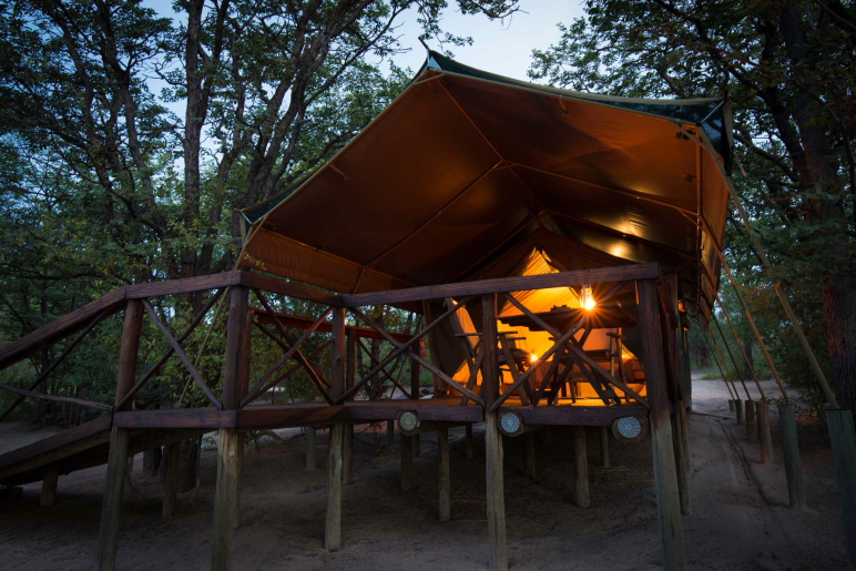 Big 5, Botswana, Chobe Nationalpark, Mankwe Bush Lodge, Moremi Game Reserve, Okavangodelta, Private Terrasse, Private Veranda, Stelzen, Zelteingang, Austausch, Feuer, Feuerstelle, Gäste, Nacht, Frontansicht, Gästeunterkuft, Afrikarma, Afrikarma Safaris, Afrikarma Safaris – Wildnis. Hautnah., afrikarma.de