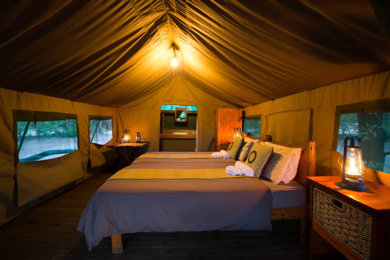Big 5, Botswana, Chobe Nationalpark, Mankwe Bush Lodge, Moremi Game Reserve, Okavangodelta, Doppelbett, Elektrisches Licht, En-suite Bad, Gästeunterkuft, Gästezelt, Große Fenster, Moskitonetze, Afrikarma, Afrikarma Safaris, Afrikarma Safaris – Wildnis. Hautnah., afrikarma.de