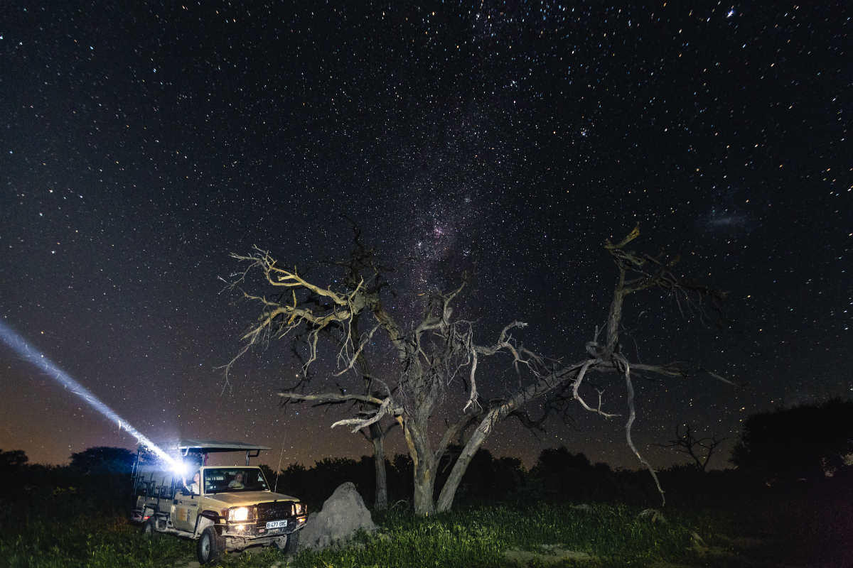 Mogothlo Safari Lodge: Eine Nachtpirschfahrt