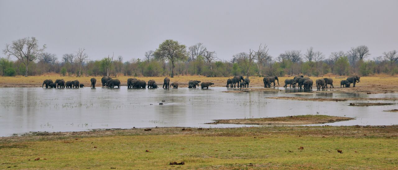 Chobe National Park, Goha Hills, Kareem Kader, Kwikamba Pan, Nogatsaa Pans Lodge, Elefanten, Afrikarma, Afrikarma Safaris, Afrikarma Safaris - Wildnis. Hautnah., Afrikarma.de