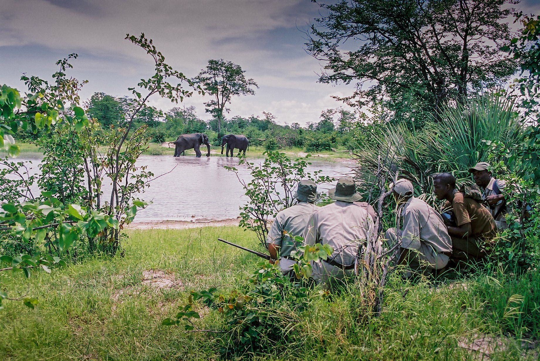 Okavango Guiding School: Blickschutz im Dickicht Okavango Guiding School: Blickschutz im Dickicht