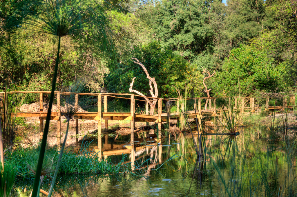 Botswana, Laufstege, Moremi Game Reserve, Okavangodelta, Okuti Camp