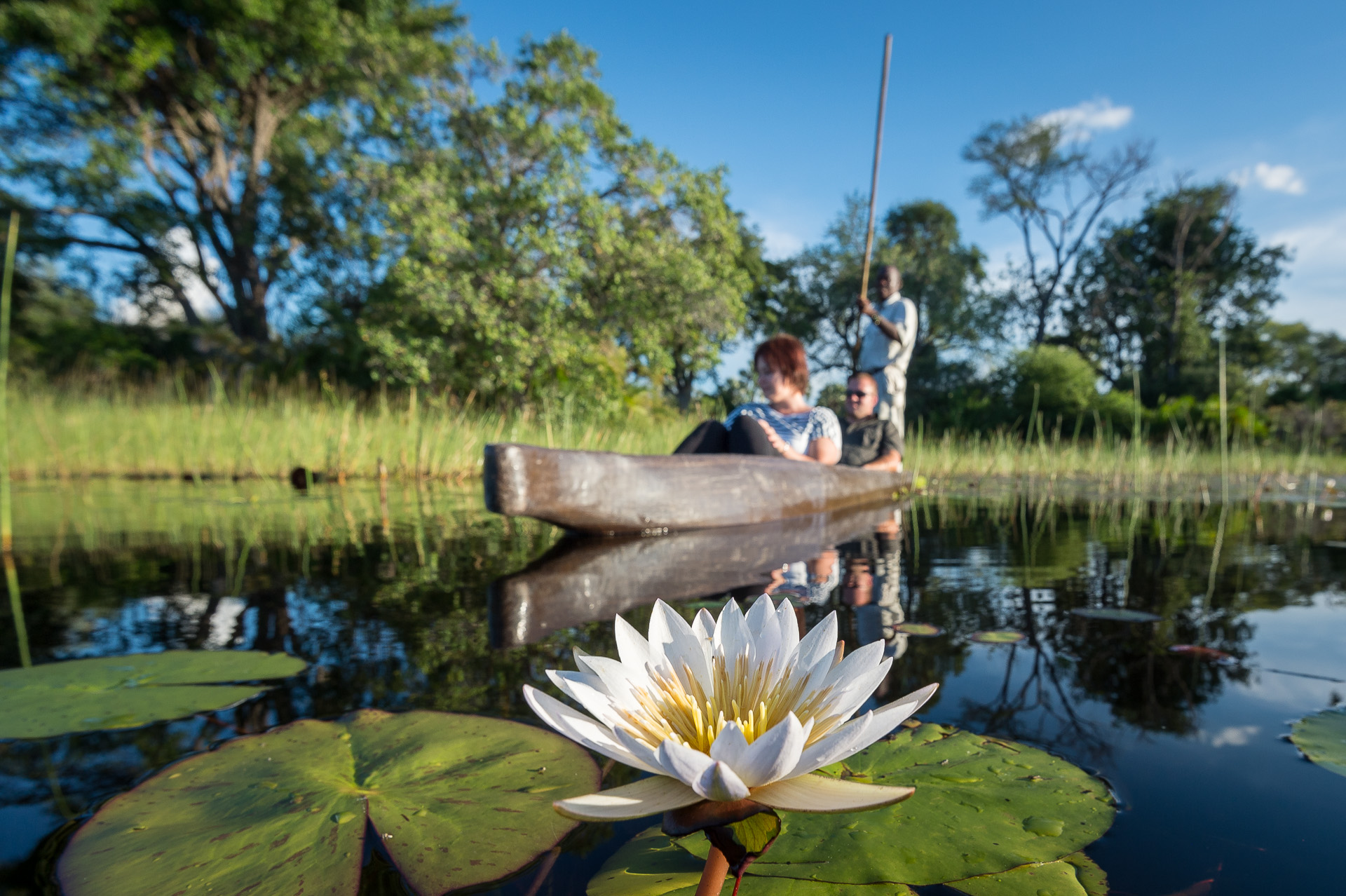 Pelo Camp: Mokoro-Ausflug Adventure Camp, Afrikarma, Jao Konzession, NG 25, Okavango-Delta, Pelo, Pelo Camp, Safari, Seerose, Wassercamp, Wilderness Safaris, Hochwasser, Mokoro, Poler, Afrikarma Safaris, Afrikarma Safaris - Wildnis. Hautnah., afrikarma.de
