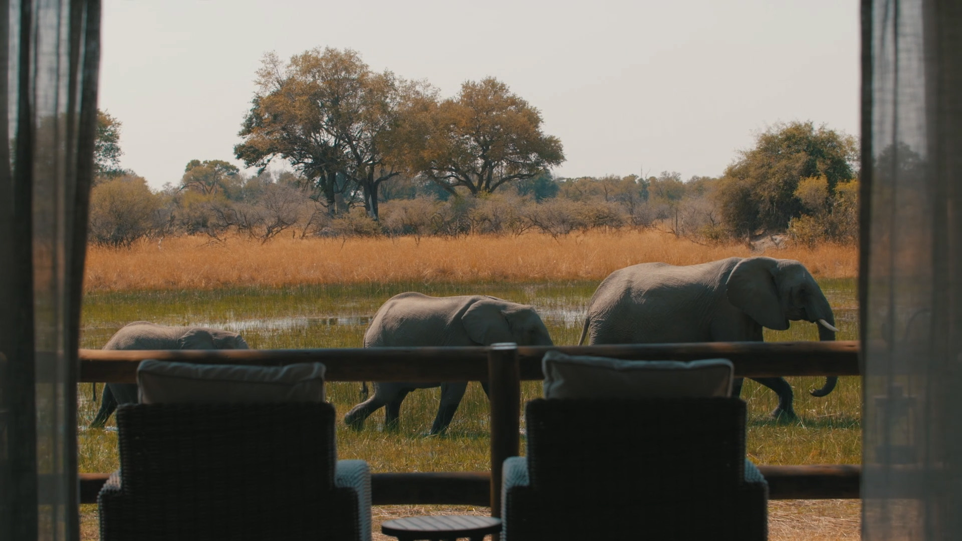 Africa, Afrikarma Safaris, Afrikarma Safaris - Wildnis. Hautnah., Botswana, Chief's Camp, Okavango Delta, Sanctuary Retreats, Elefant, Elefanten, www.afrikarma.de, Camp, Afrikarma