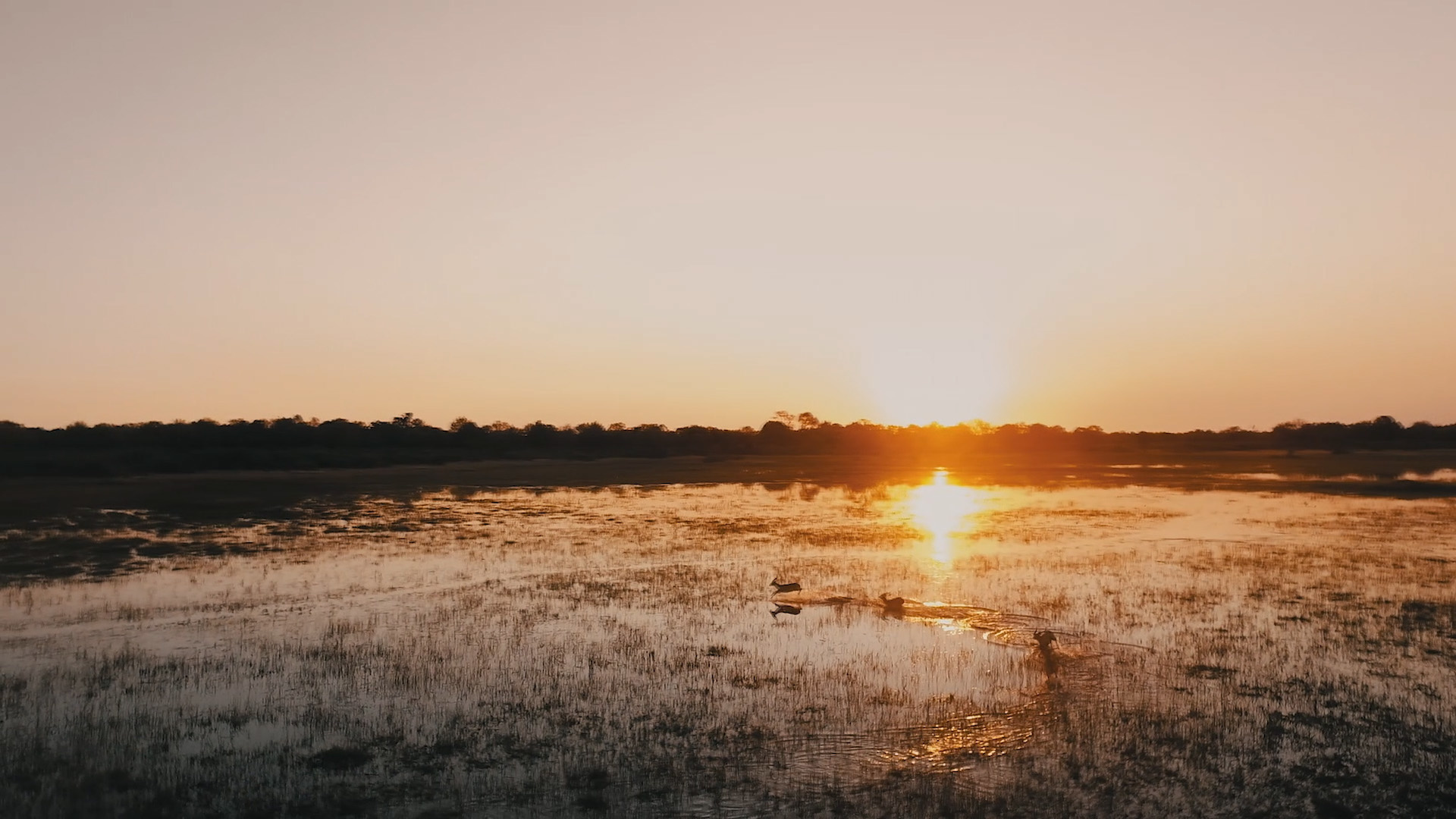 Chief's Camp: Sonnenuntergang Chief's Camp: Sonnenuntergang