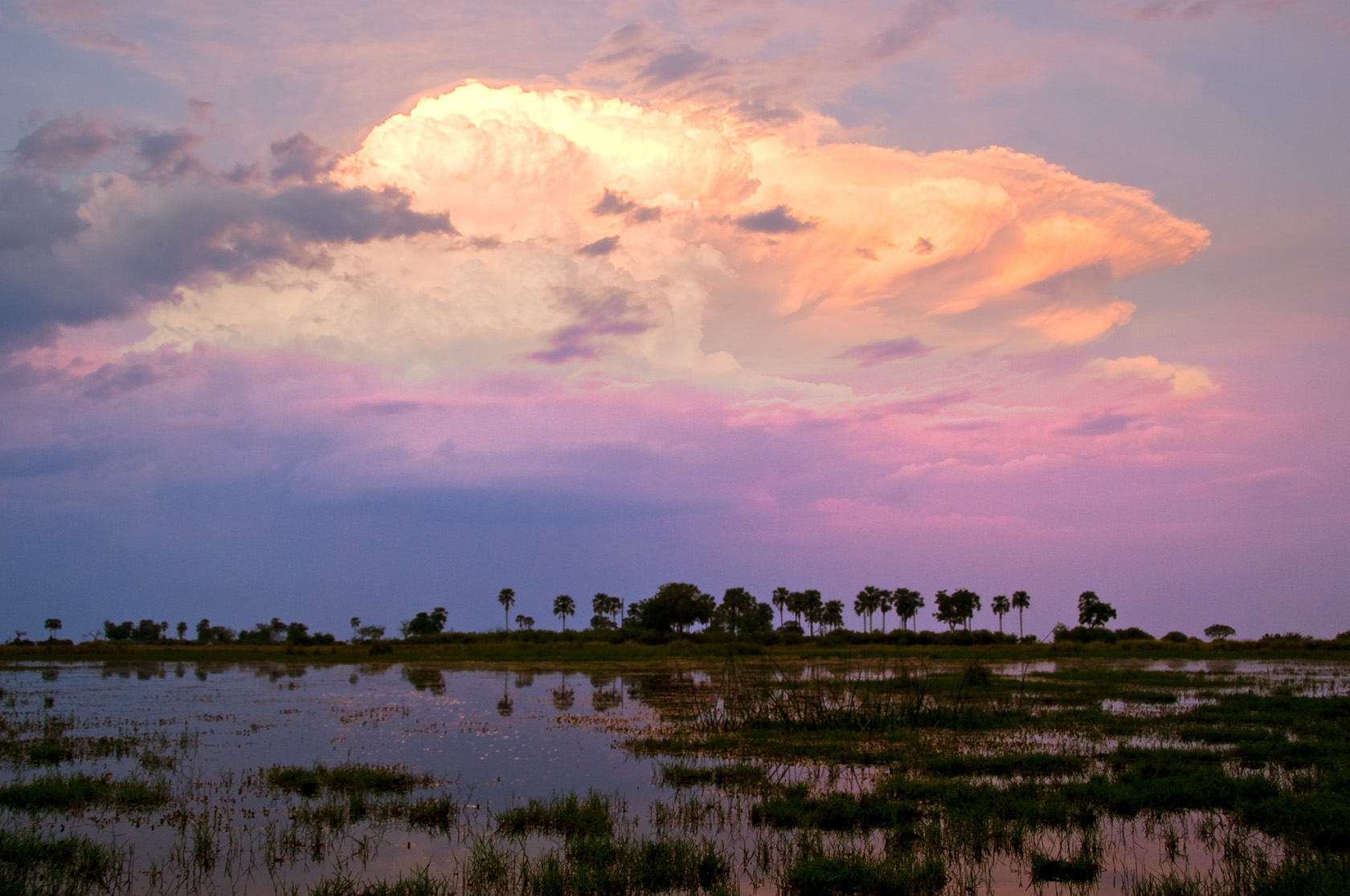 Sitatunga Private Island Suite: Abendstimmung im Delta Sitatunga Private Island Suite: Abendstimmung im Delta