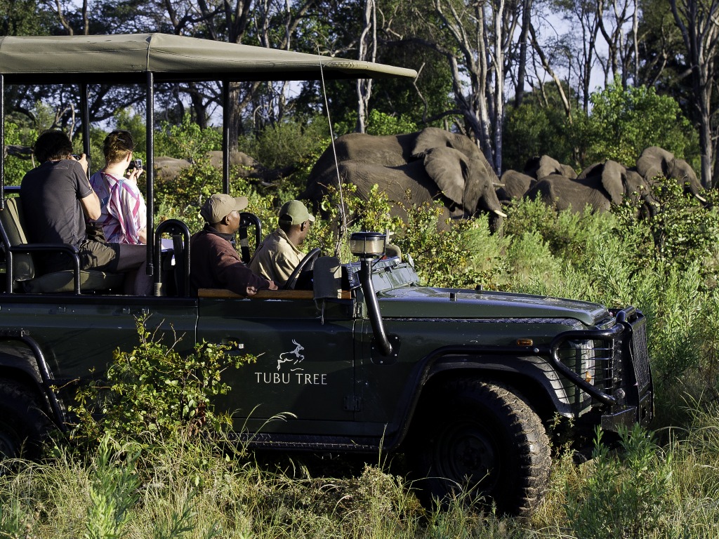 ElefantElefanten, Elefantenherde, Hunda Island, Leopard, Ngamiland Adventure Safaris, Okavango-Delta, Pirschfahrt, Tubu Tree Camp, Wilderness Safaris, Jao-Konzession, NG 25