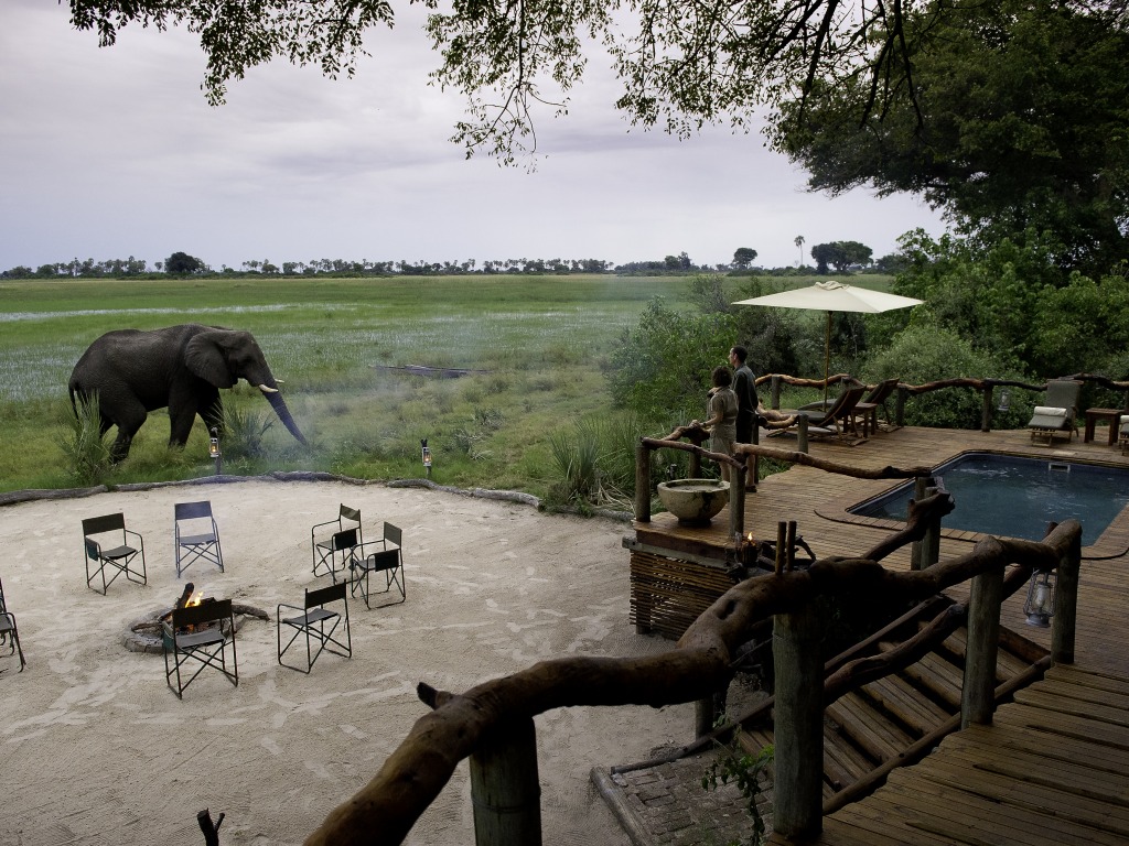 Boma, Elefant, Elefantenherde, Feuerdeck, Hunda Island, Leopard, Ngamiland Adventure Safaris, Okavango-Delta, Swimming Pool, Tubu Tree Camp, Wilderness Safaris, Jao-Konzession, NG 25