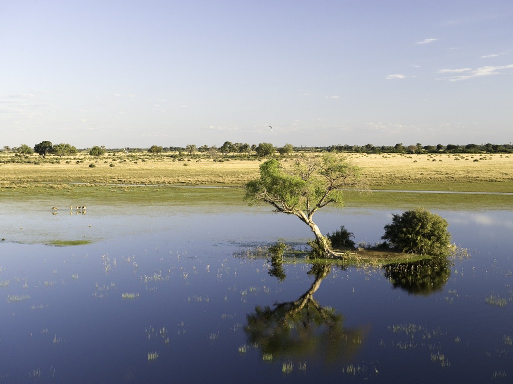 Flutebene, Hunda Island, Leopard, Luftbild, Ngamiland Adventure Safaris, Okavango-Delta, Schwemmebene, Tubu Tree Camp, Wilderness Safaris, Jao-Konzession, NG 25