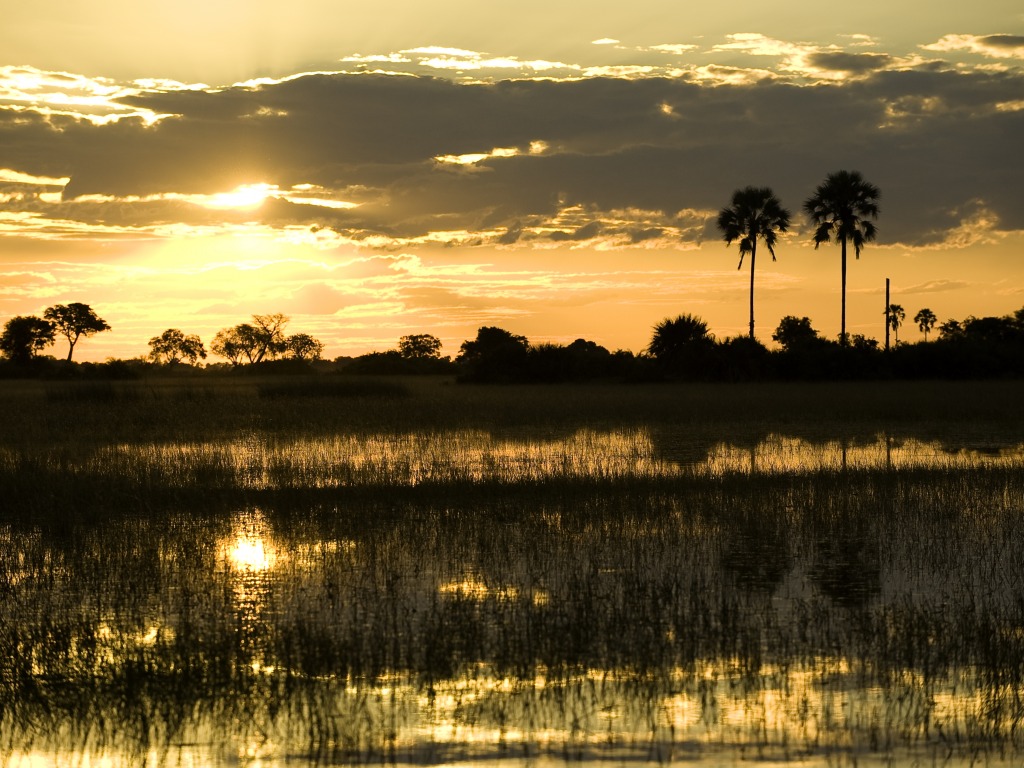 Hunda Island, Leopard, Mokolane, Sonnenuntergang, Ngamiland Adventure Safaris, Okavango-Delta, Tubu Tree Camp, Wilderness Safaris, Jao-Konzession, NG 25