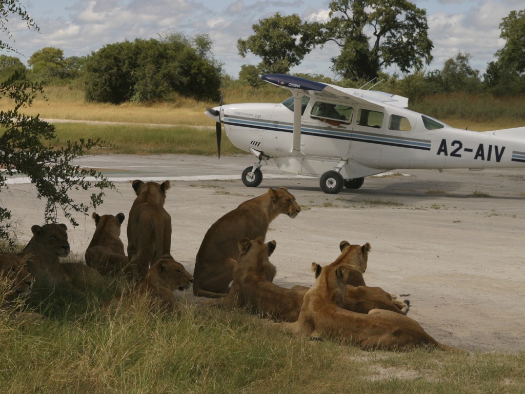 Airstrip, Khianadiandavhu, Kwedi Community Trust, Löwen, Moanachira, NG 22, Okavango-Delta, Vumbura Plains
