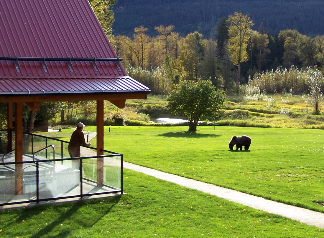 British Columbia, Kanada, Tweedsmuir, Tweedsmuir Park Lodge, Gelände, Haupthaus, Lage, Lodge, Umgebung, Natur, Bella Coola, Ausblick, Terrasse, Afrikarma, Afrikarma Safaris, Afrikarma Safaris - Wildnis. Hautnah., Afrikarma.de