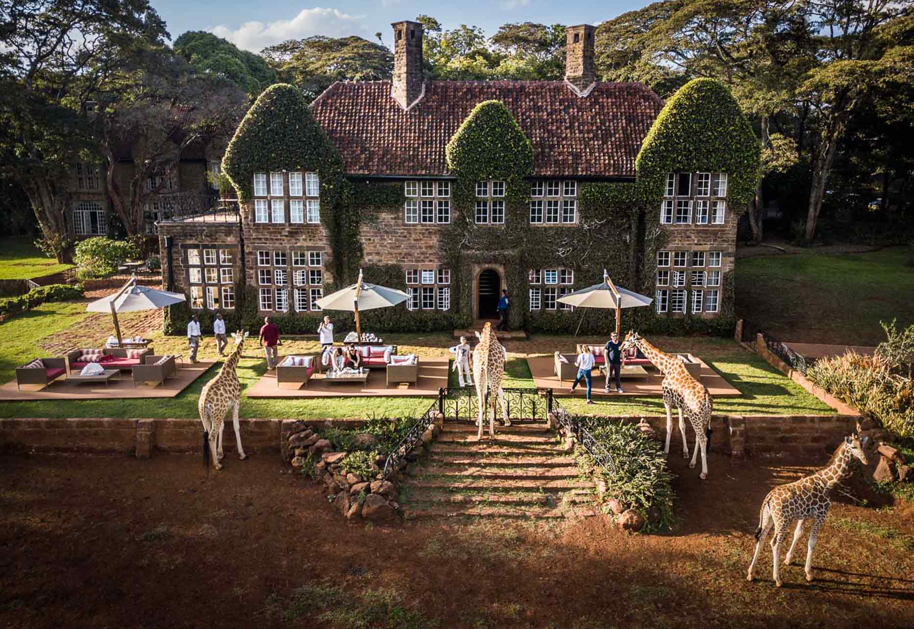 Afrikarma, Afrikarma Safaris, Afrikarma.de, Giraffe Manor, Kenia, Langata, Nairobi, Afternoon Tea, Garten, Giraffenfütterung, Afrikarma Safaris. Wildnis. Hautnah, Terrasse