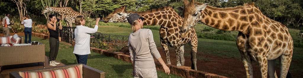 Giraffe Manor: Afternoon Tea auf Terrasse