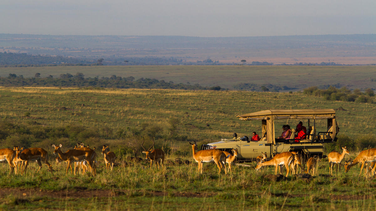 Atua Enkop, Mara National Reserve, Mara Ngenche Camp, Masai Mara, Aktivitäten, Game Drive, Impala, Landschaft, Afrikarma, Afrikarma Safaris, Afrikarma Safaris - Wildnis. Hautnah., Afrikarma.de