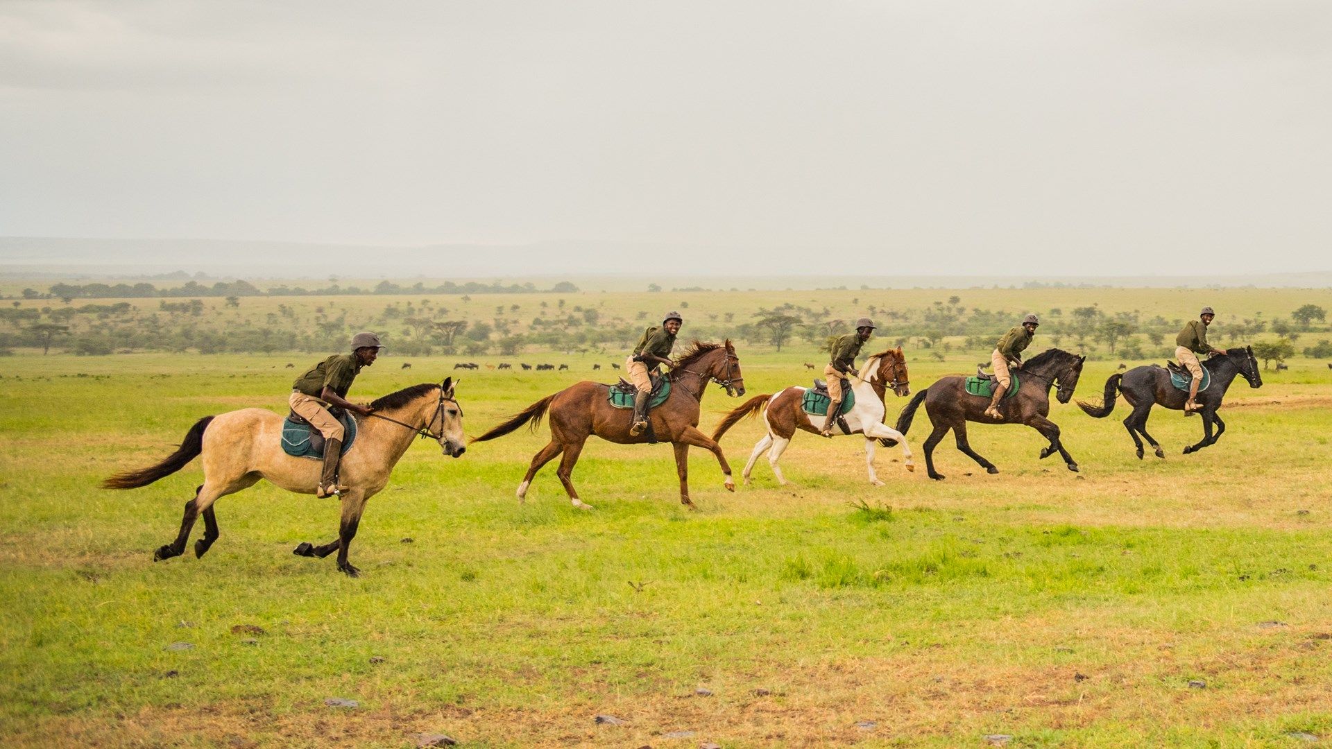 Masai Mara, Olare Mara Kempinski, Olare Motorogi Conservancy, Safari Camp, Galopp, Pferde, Reiten, Afrikarma, Afrikarma Safaris, Afrikarma Safaris. Wildnis. Hautnah., Afrikarma.de