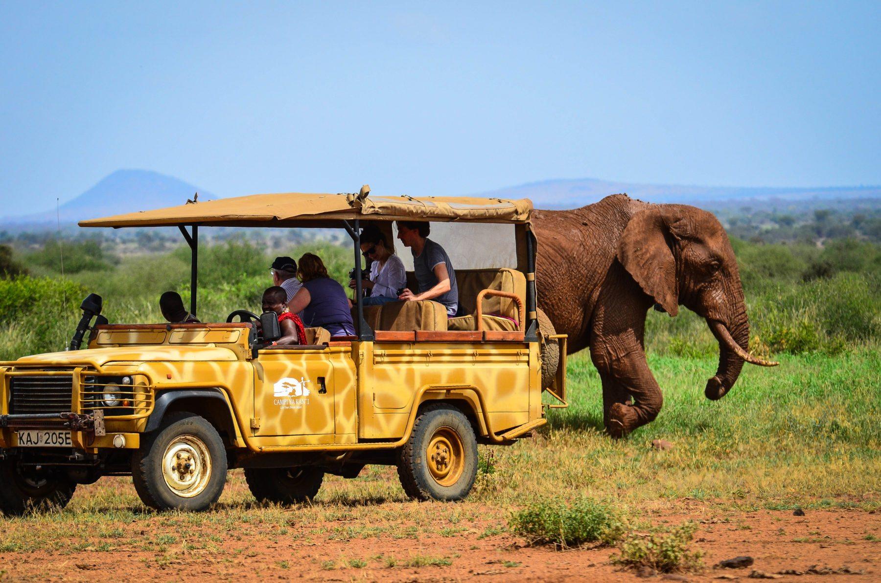 Campi ya Kanzi Lodge: Game Drive