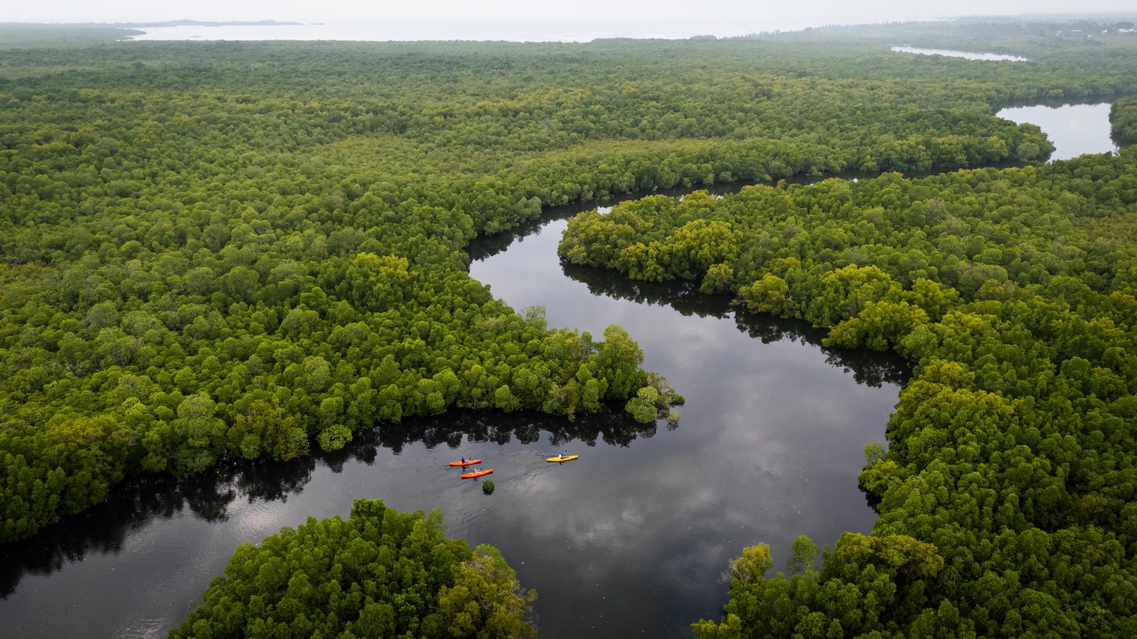 Chale Island: Kanu Ausflug Chale Island: Kanu Ausflug