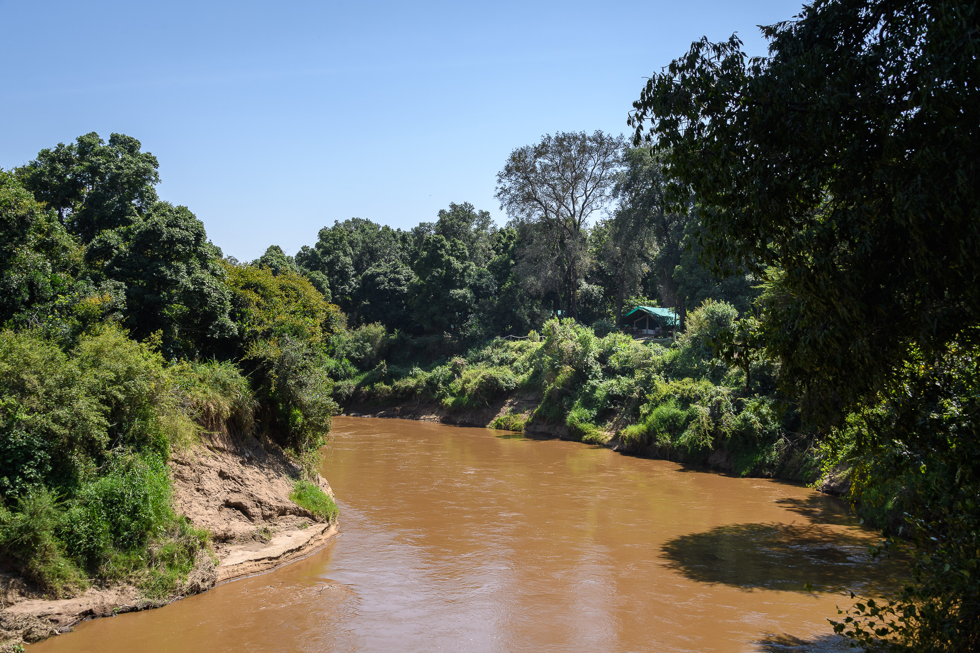 afrikarma, afrikarma Safaris, Afrikarma Safaris - Wildnis.Hautnah., afrikarma.de, Masai Mara, Flußlauf