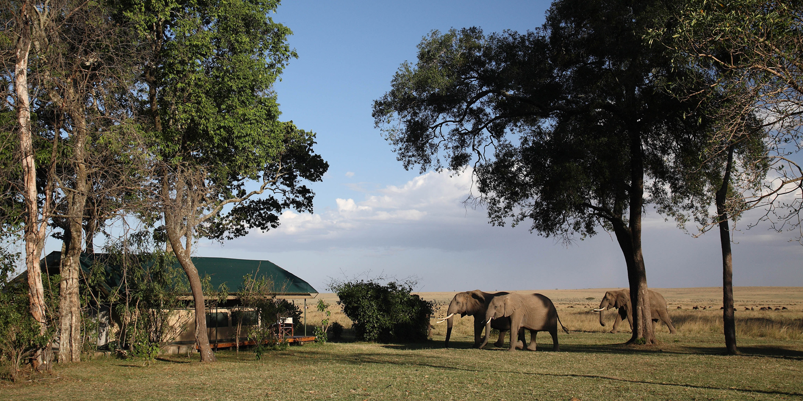 afrikarma, afrikarma Safaris, Afrikarma Safaris - Wildnis.Hautnah., afrikarma.de, Masai Mara