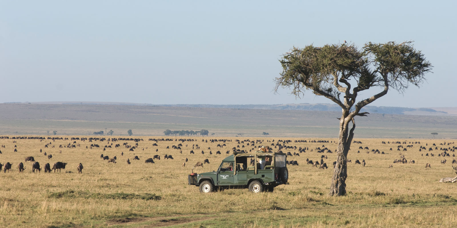 afrikarma, afrikarma Safaris, Afrikarma Safaris - Wildnis.Hautnah., afrikarma.de, Masai Mara, Geländewagen, Safari, Safarifahrzeug, Steppe