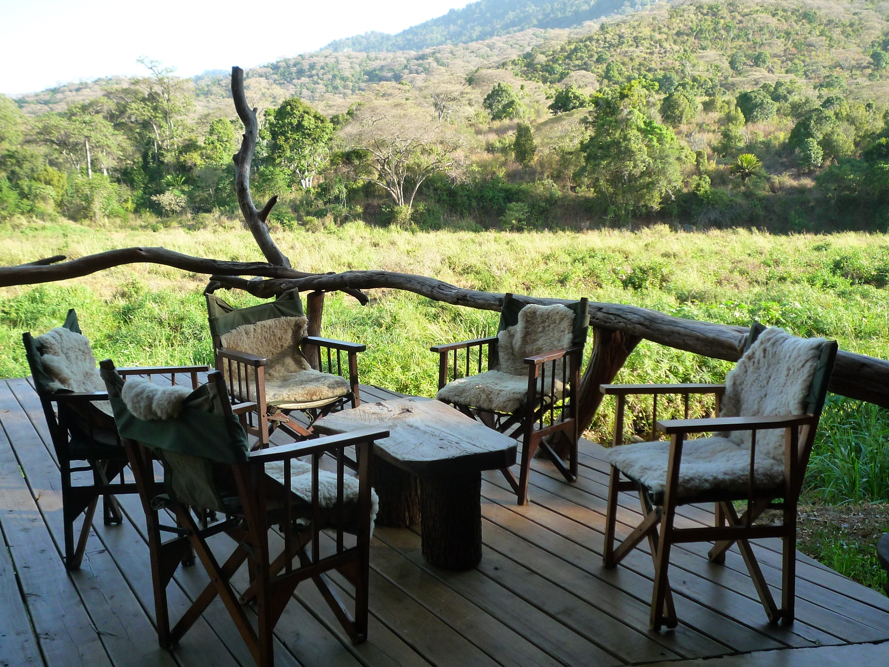 Afrikarma, afrikarma.de, Bäume, Brazzameerkatze, Buschwanderung, Cheli & Peacock, Cheli and Peacock, Grevyzebra, Guided Walk, Guided Walks, Kenia, Kenya, Kitich, Kitich Camp, Mathews Mountain Range, Mathew's Mountain Range, Namunyak, Namunyak Conservation, Namunyak Reserve, Namunyak Schutzgebiet, Ngeng, Ngeng River, Nordkenia, Northern Kenya, Panther, Regenwald, Reise, Reiseveranstalter, Safari zu Fuß, Schwarzer Panther, Seidenturako, Stummelaffe, Wald, Wildnis, www.afrikarma.de, Aussicht, Main Area, Main Lounge, Veranda